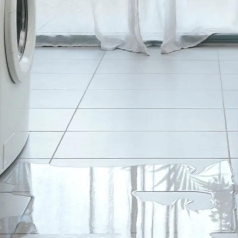Appliance Leak Cleanup in Galveston County, TX