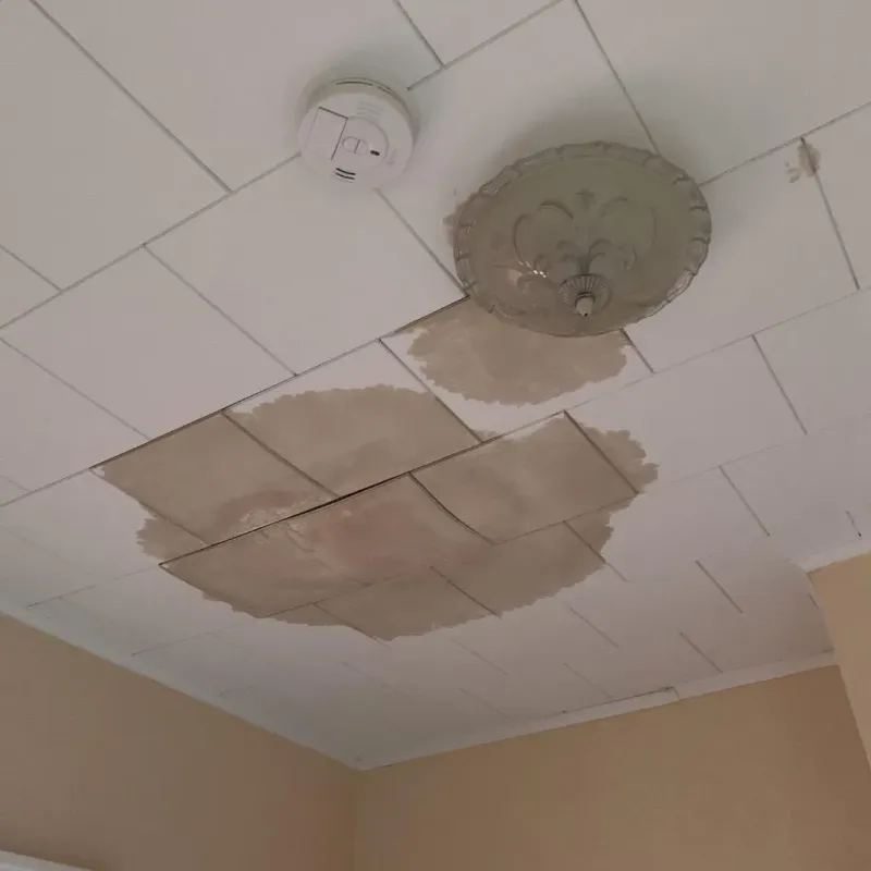 Ceiling Water Damage Repair in Galveston County, TX