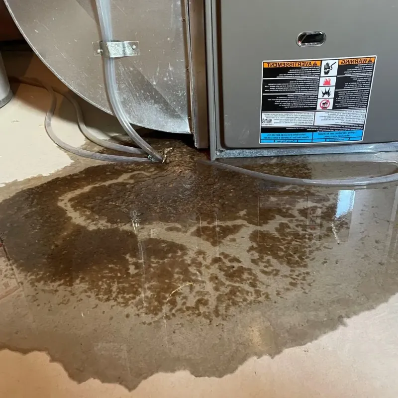 Pipe Burst and Leak Restoration in Galveston County, TX